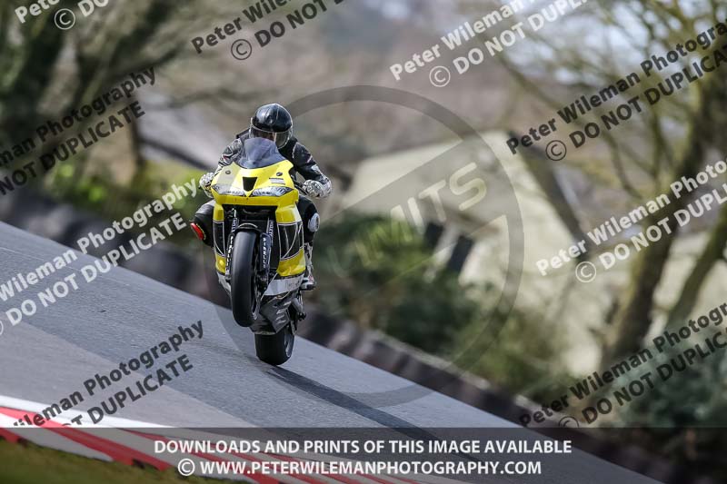 Oulton Park 21st March 2020;PJ Motorsport Photography 2020;anglesey;brands hatch;cadwell park;croft;donington park;enduro digital images;event digital images;eventdigitalimages;mallory;no limits;oulton park;peter wileman photography;racing digital images;silverstone;snetterton;trackday digital images;trackday photos;vmcc banbury run;welsh 2 day enduro